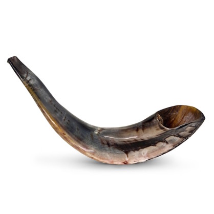 Shofar Polished Classical Ram's Horn